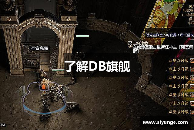 了解DB旗舰